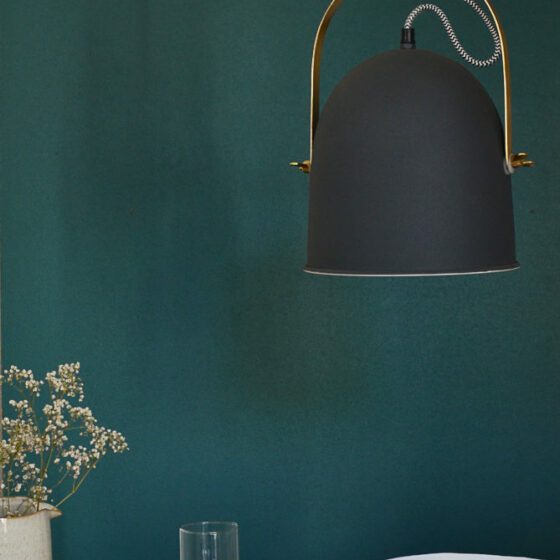 Suspension luminaire