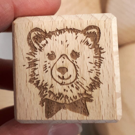 cube ourson